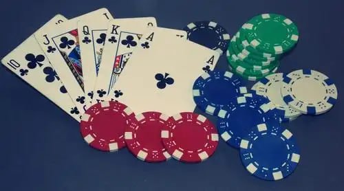 Sảnh Bingo giải trí tại nền tảng ely88 Việt Nam